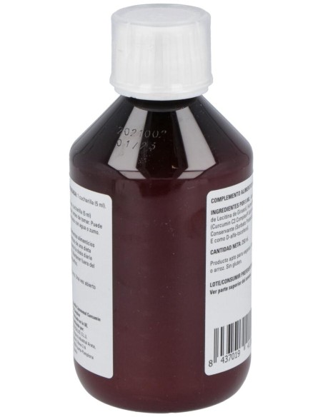 Equisalud Lipolife Liposomal Curcumin C3 Complex 250Ml