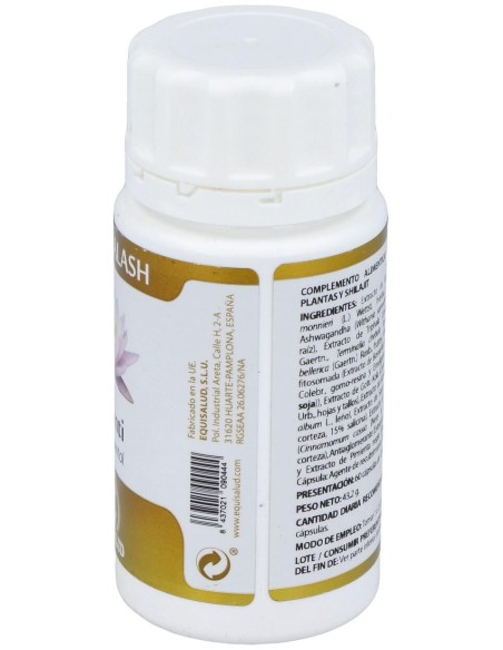 Yoga Kalash Shanti Paz Mental 60Cap.