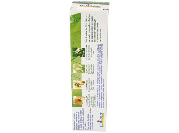 Homéodent Dentifrice Chlorophylle 75Ml