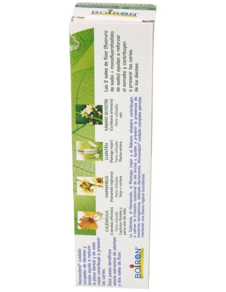 Homéodent Dentifrice Chlorophylle 75Ml