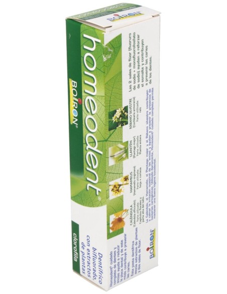 Homéodent Dentifrice Chlorophylle 75Ml