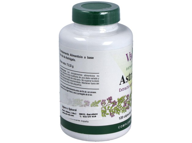 Vbyotics Astragalus Extracto Estandarizado Raíz...