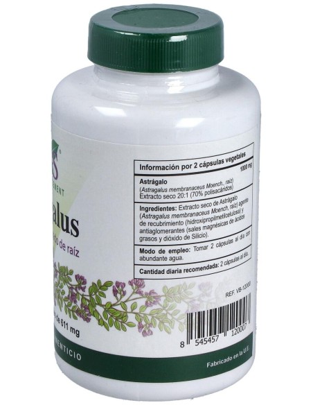Vbyotics Astragalus Extracto Estandarizado Raíz 120Caps