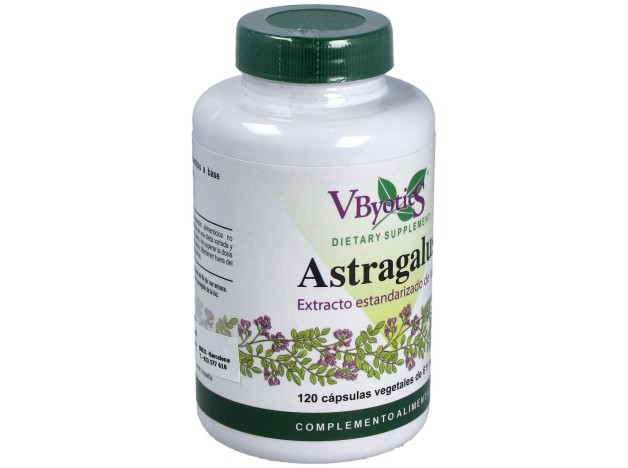 Vbyotics Astragalus Extracto Estandarizado Raíz...