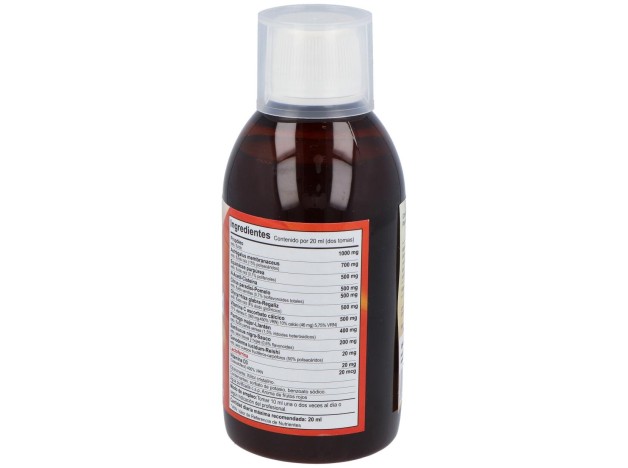 Vbyotics Inmunoguard Jarabe 250Ml
