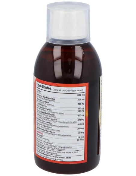Vbyotics Inmunoguard Jarabe 250Ml