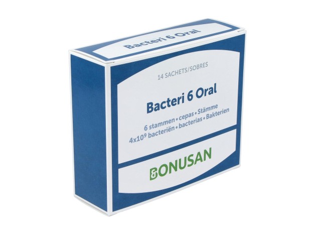 Bacteri 6 Oral 14Sbrs.