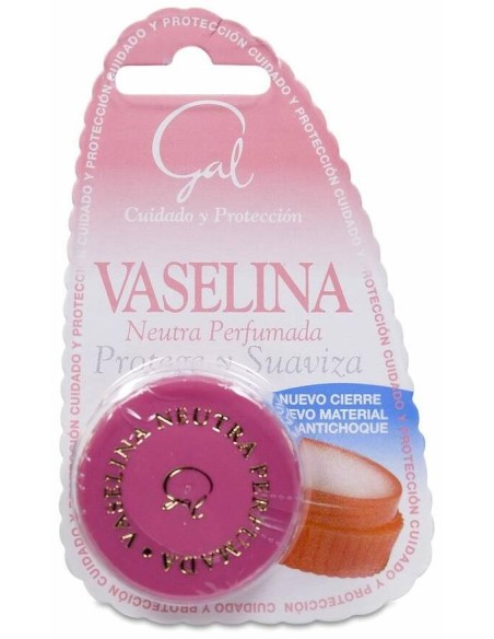 Gal Vaselina Neutra Perfumada, 13 Ml
