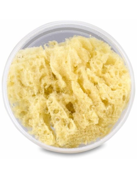 Suavinex Esponja Natural Canastilla, 1 Ud