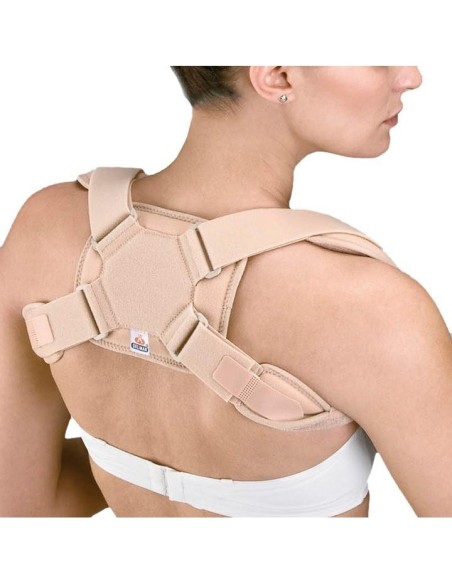 Orliman Inmovilizador Clavícula Ic-30 Talla 2, 1 Unidad