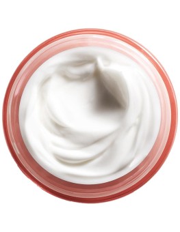 Moisture Surge Intense 72H...