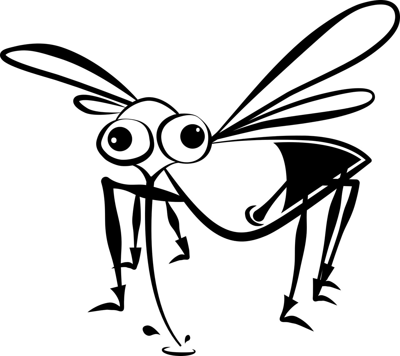 CONSEJOS CONTRA LAS PICADURAS DE MOSQUITOS